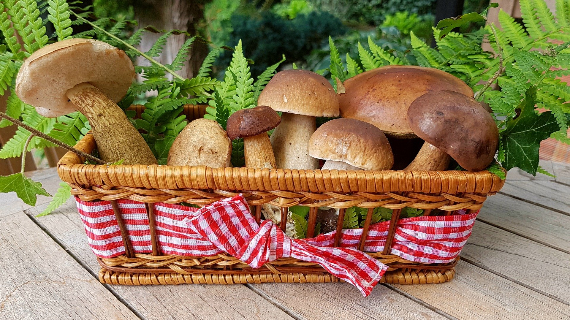 healthy-christmas-food-mushrooms