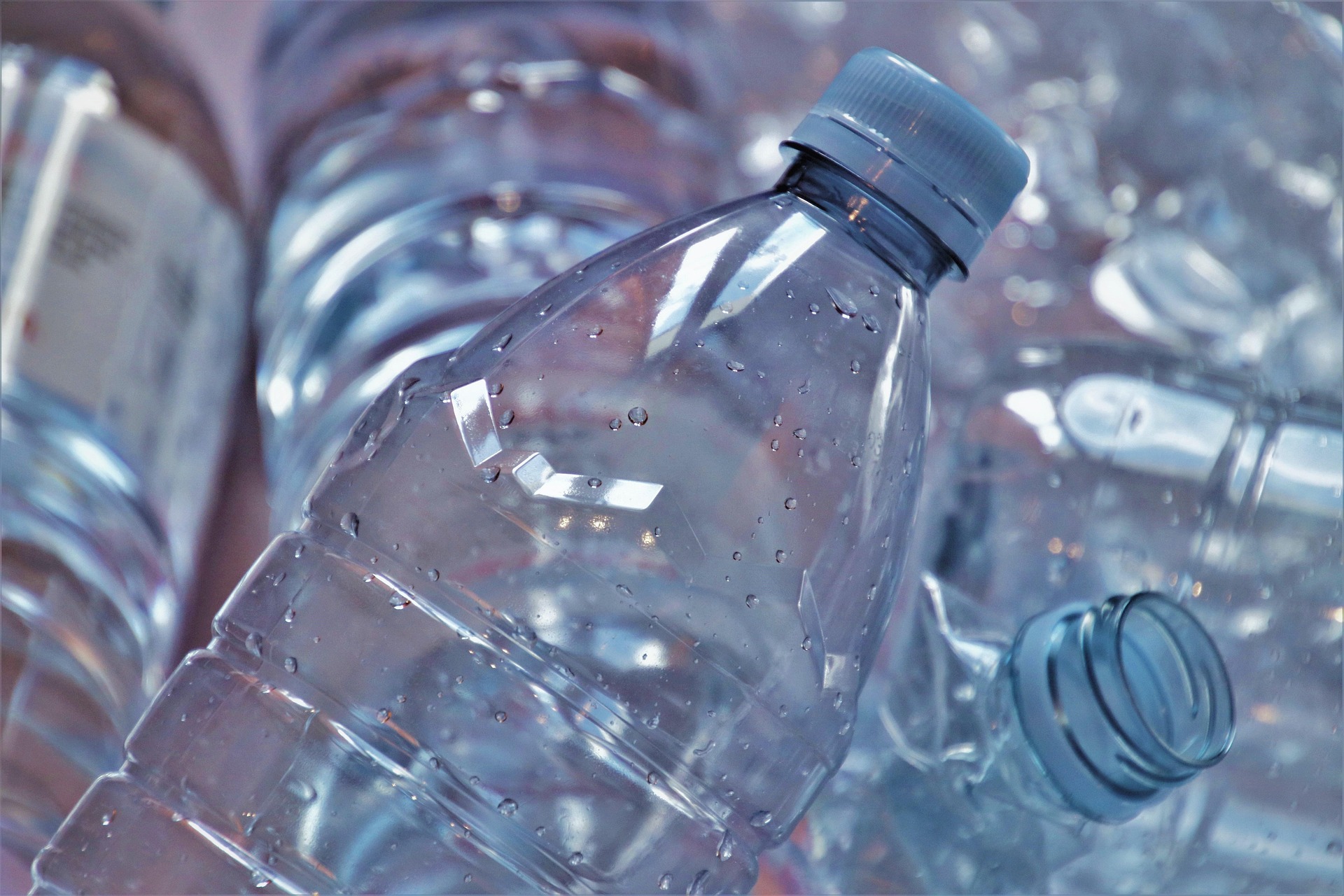 Can Plastic Bottles Lower Testosterone Levels? Ask a PT