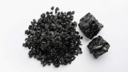 Shilajit And Cholesterol