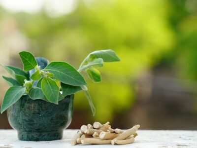 Ashwagandha And Male Fertility