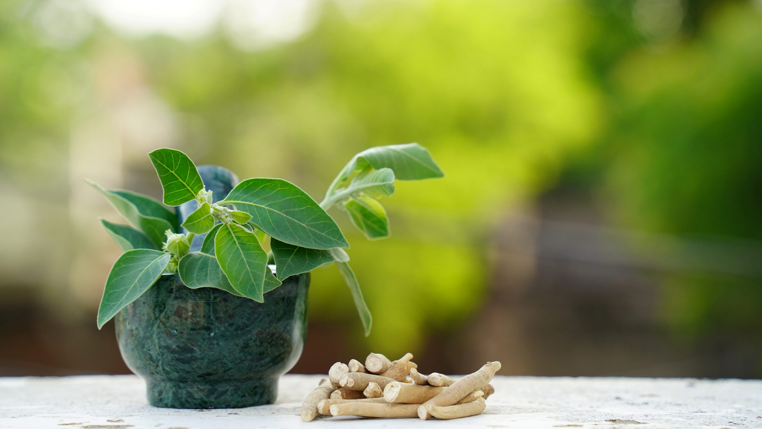 Ashwagandha And Male Fertility