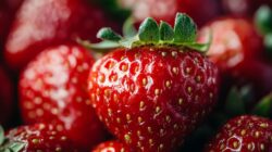 6 Surprising Benefits Of Fisetin