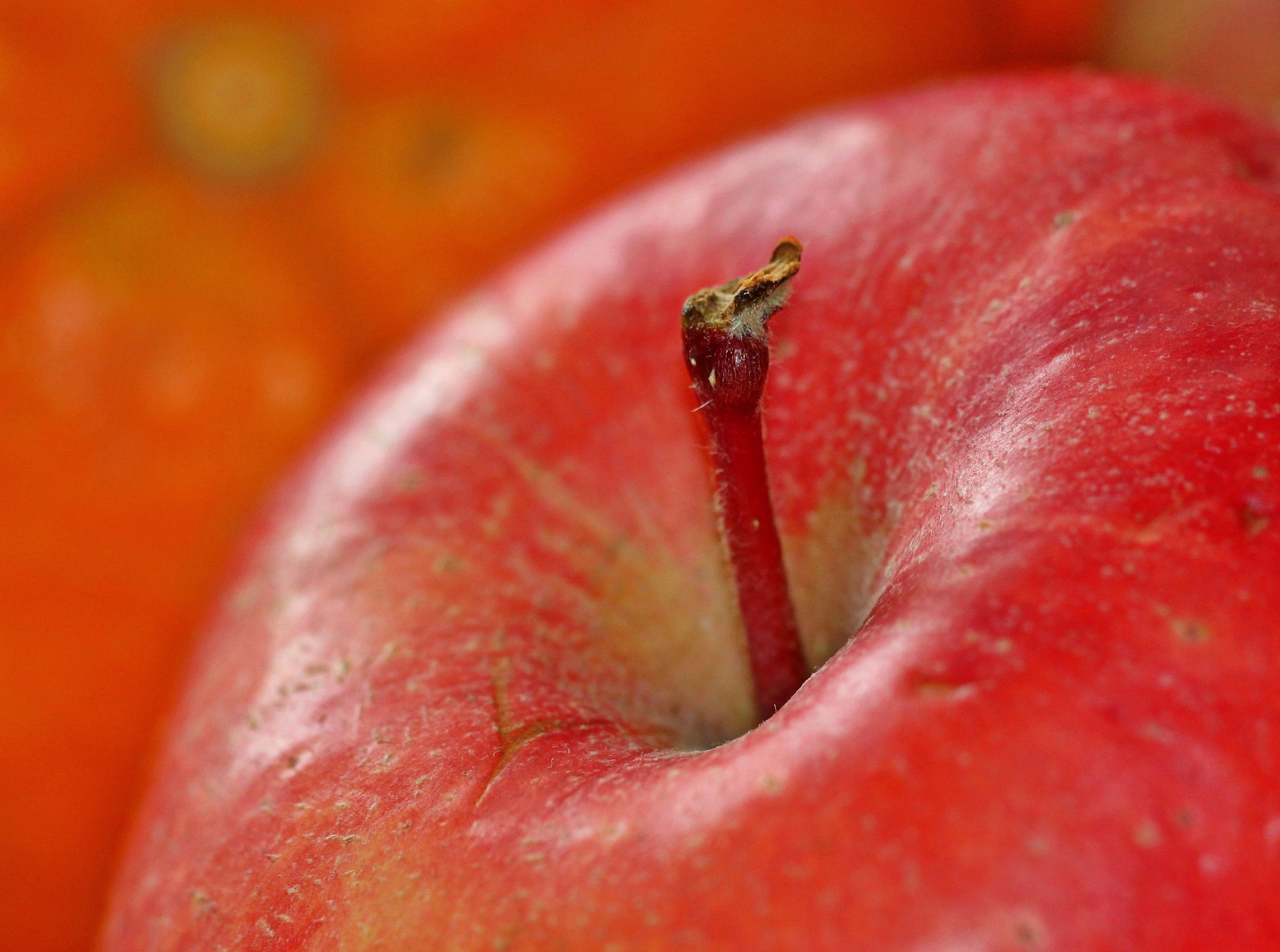 5 Surprising Benefits Of Quercetin Dihydrate