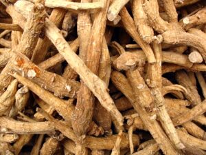 5 surprising benefits of ginseng
