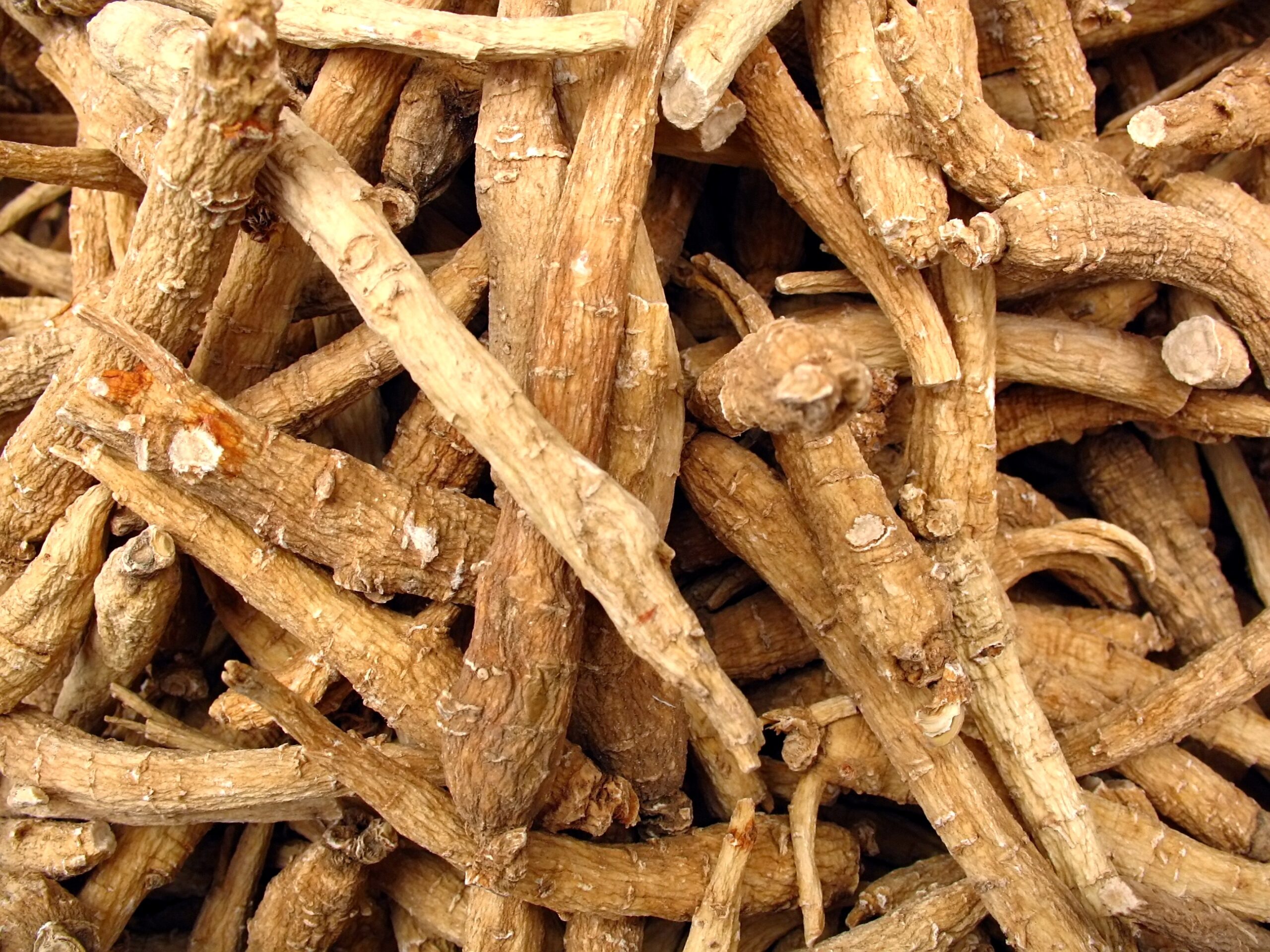 5 Surprising Benefits Of Ginseng