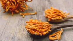 6 Surprising Benefits Of Cordyceps