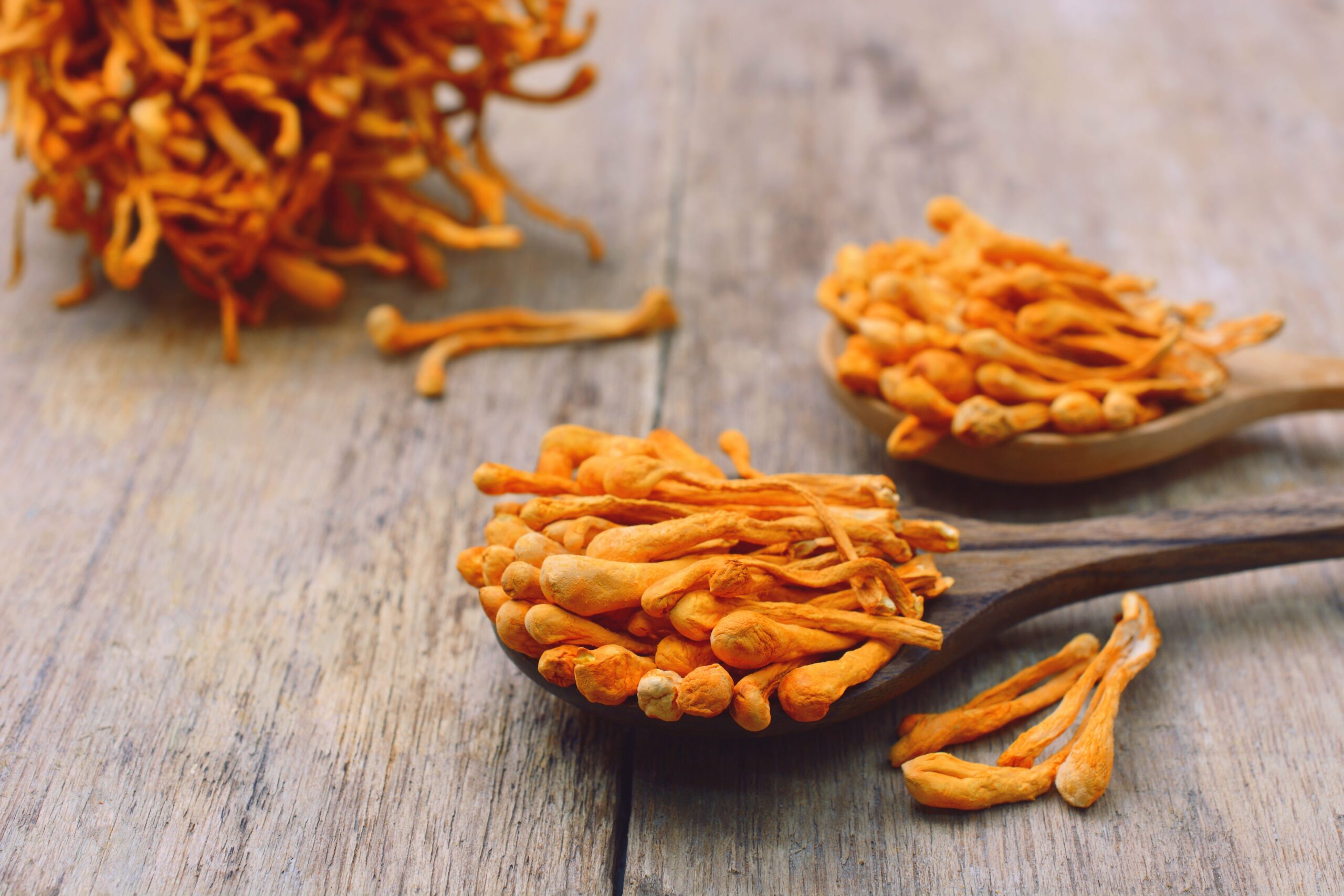 6 Surprising Benefits Of Cordyceps