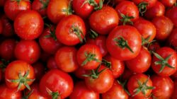 5 Surprising Benefits Of Lycopene