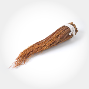 Ginseng