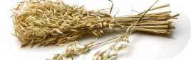 Oat Straw
