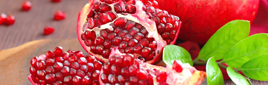 Pomegranate