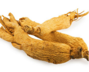 Korean Ginseng