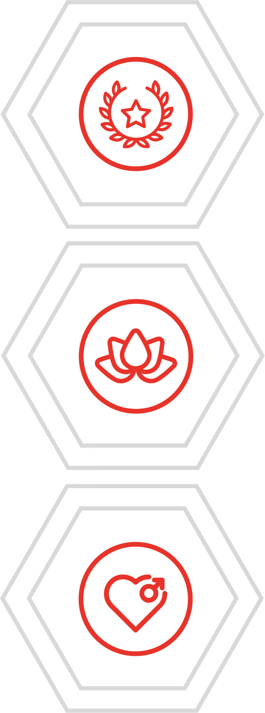 PrimeMale Vitality T-Shake with Icons Hexagons