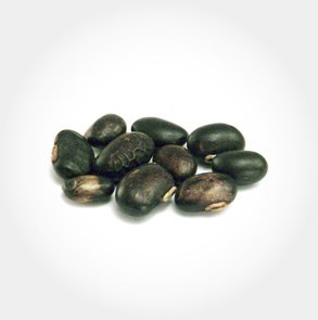 Ashwagandha Extract 4:1 (root)