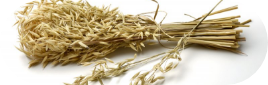 Oat Straw