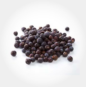 Black Pepper
