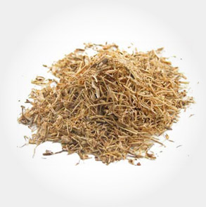 Nettle Root 10:1 extract